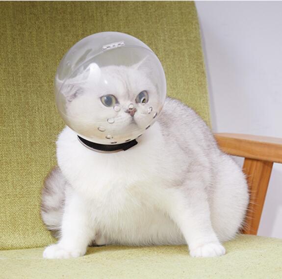 Pet Anti-Bite Cat Space Hood Cat Head Cover