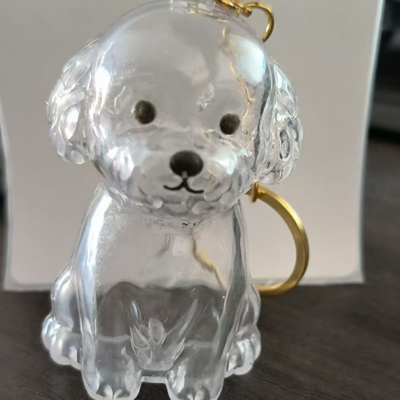 Dog Fur Storage Pendant Keychain